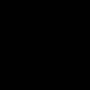 Meet your Posher, Calie